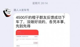 粉丝爆料视频博主怎么做,粉丝爆料背后的制作秘籍