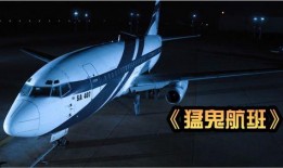407航班在线观看,空中惊魂时刻的实时直播回顾