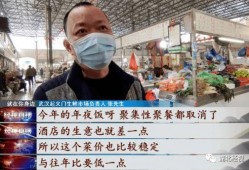 武汉菜价爆料视频大全集,揭秘菜市场价格波动背后的秘密