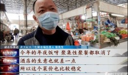 武汉菜价爆料视频大全集,揭秘菜市场价格波动背后的秘密