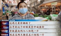 武汉菜价爆料视频大全集,揭秘菜市场价格波动背后的秘密