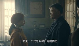 虚伪爆料大结局视频完整版,大结局揭秘，真相与反转的终极对决