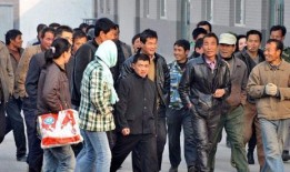 农民兄弟爆料视频,揭秘农村现状与心声