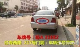 万宁座驾真实爆料视频,真实爆料视频曝光惊人细节