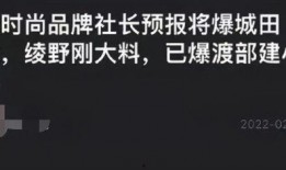 日本娱乐圈爆料塌房视频,揭秘明星不为人知的秘密