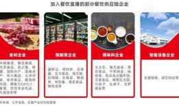 快餐新闻爆料文案怎么写,揭秘行业背后惊人内幕