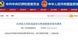 普宁最新爆料电话查询,电话查询揭示惊人内幕