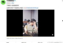 刘祉辰爆料视频大全播放,揭秘娱乐圈幕后真相