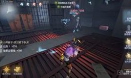 第五人格爆料烟花视频,第五人格全新爆料视频揭秘神秘烟花秀