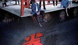 拳王粤语在线观看,热血激战，巅峰对决