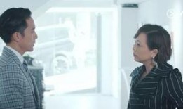 《内情》全集在线观看,揭秘权力背后的真实故事