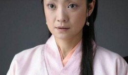 电视剧神禾塬在线观看,烽火岁月里的家国情怀