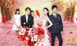 在线观看妻子的谎言,妻子谎言背后的秘密