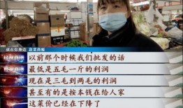 武汉菜价爆料视频大全集,揭秘菜市场价格波动背后的秘密