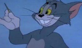 猫和老鼠怎么看爆料视频