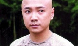 李卫当官1在线观看,笑傲官场，智斗权谋