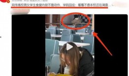 辣眼视频爆料大全最新,揭秘娱乐圈惊人内幕，带你领略真实幕后