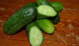 天津中医药大学网红吃瓜