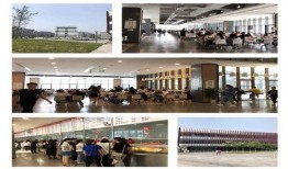 碧桂园爆料最新消息武清