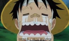 路飞最新爆料是什么动漫,揭秘神秘新动漫，热血冒险再掀狂潮！