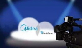 爆料小天鹅原视频,真实生活瞬间，引发网友热议