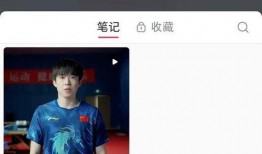 小红书爆料王楚钦视频,赛场风采引热议