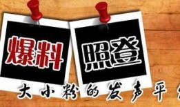 重庆新闻在哪儿能够爆料,市民爆料，聚焦民生热点问题