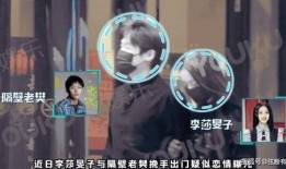 隔壁老樊被爆料视频,揭秘背后真相