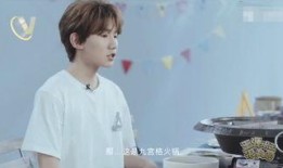王源爆料赵奕钦视频大全,赵奕钦视频大全背后的故事