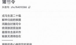 爆料正副科长视频大全集,视频大全集深度剖析