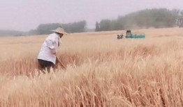 孩子失踪爆料视频真实案例,揭秘孩子失踪视频背后的真实故事