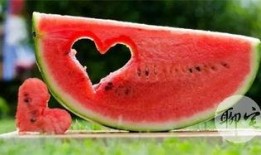 吃瓜官网免费,免费畅享美食资讯的乐园