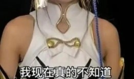 小慧君视频爆料视频大全,视频大全揭秘幕后真相