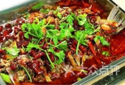 娱乐圈爆料烤鱼