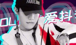 抖音嘉年华爆料视频大全,揭秘爆火视频背后的故事