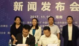 海南最新事件爆料新闻发布会,新闻发布会聚焦焦点揭晓