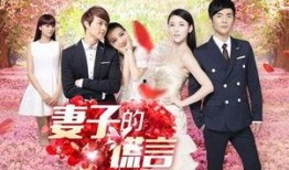 在线观看妻子的谎言,妻子谎言背后的秘密