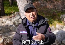 北京平安大爷最新爆料,最新爆料背后的惊人真相