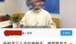 朱皮爆料视频,娱乐圈幕后真相大曝光