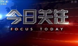 在线观看 今日关注