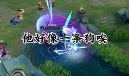 暗信的最新爆料,最新爆料揭示娱乐圈惊人内幕