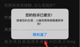 怎样举报新闻爆料,助力新闻真相揭露