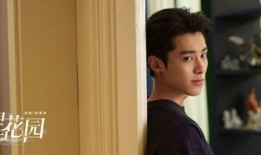 王鹤棣爆料对象视频播放,揭秘背后惊人真相！