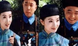 李卫当官1在线观看,笑傲官场，智斗权谋