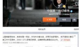 狗仔新闻爆料教程视频,如何成为追踪明星的“猎犬”