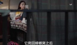 三姐被打爆料视频大全
