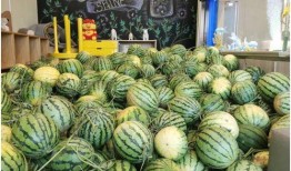 吃瓜官网免费,免费畅享美食资讯的乐园