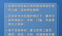 爆料茶叶视频教程完整版