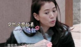 小花爆料袁咏仪视频,真相背后引人深思