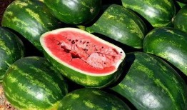 免费高质量吃瓜视频